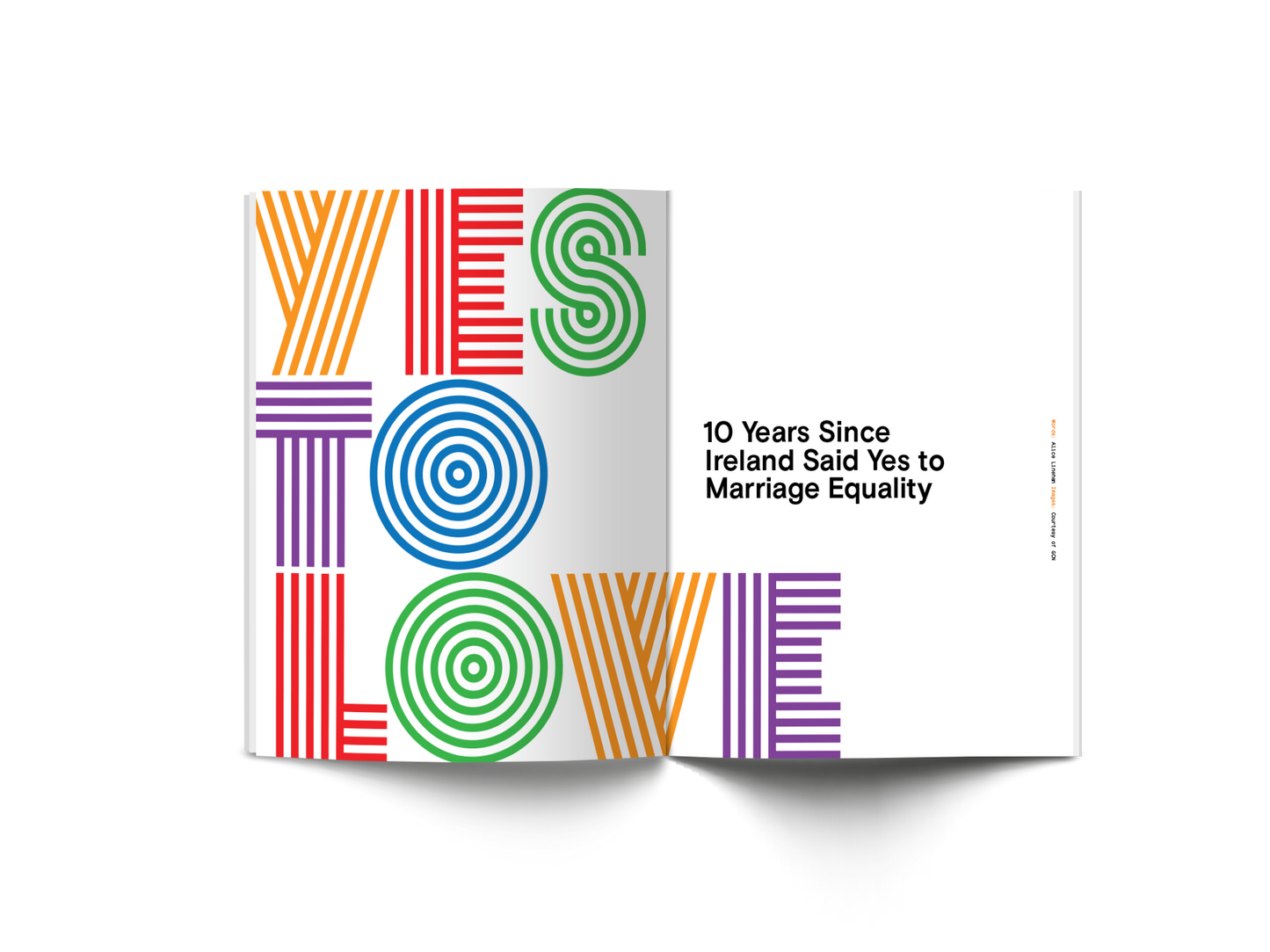 District: 10 Years of Chaos